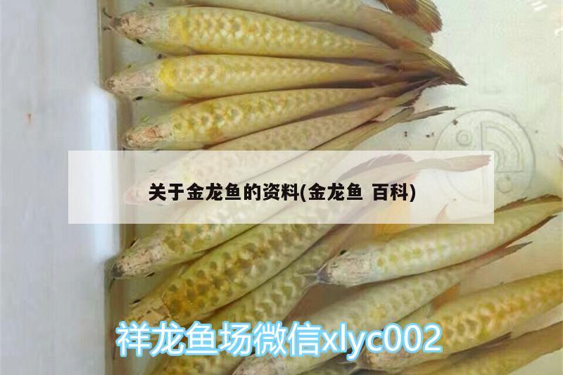 晉城魚缸送貨安裝電話號碼是多少號：晉州魚缸 仟湖