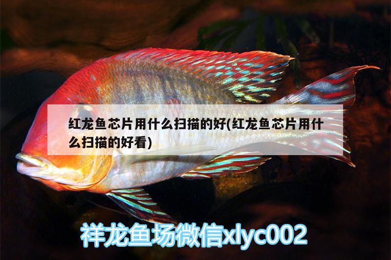 平頂山魚(yú)缸制作公司哪家好些呀，能接受別人送的舊魚(yú)缸嗎