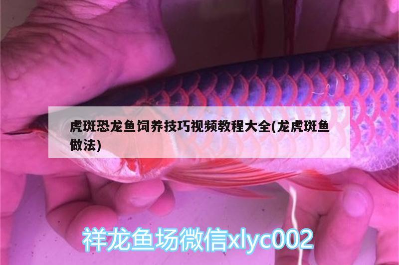 魚(yú)缸造景用什么打底好（魚(yú)缸造景用什么墊底） 其他品牌魚(yú)缸 第3張