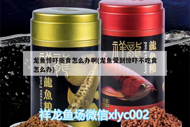 魚缸的燈光怎么使用，，魚缸電熱管的使用技巧