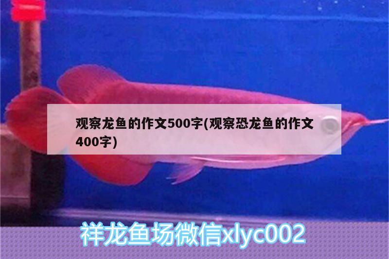 魚缸水泵修理視頻大全圖片：魚缸水泵怎么修理