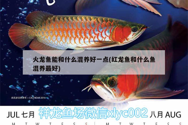 駐馬店水族批發(fā)市場(chǎng)地址電話是多少呀（駐馬店水族批發(fā)市場(chǎng)地址電話是多少呀）