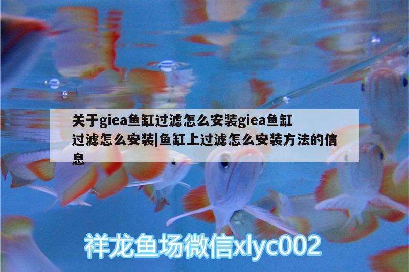 作最早的意思是什么，甲骨文用什么工具刻成