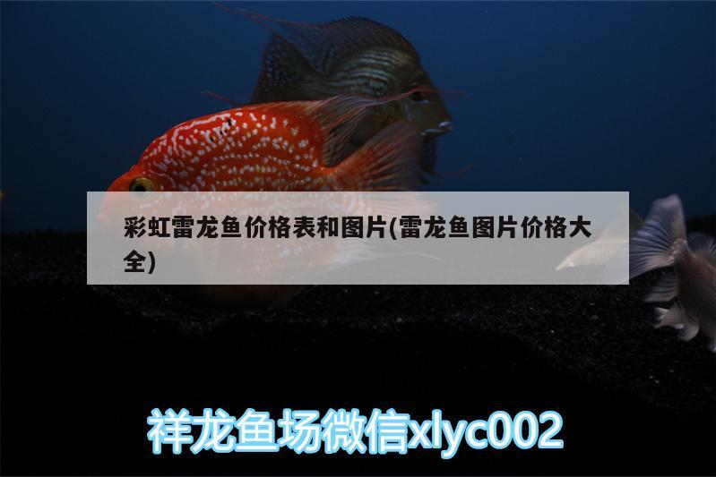 重慶魚缸回收電話地址查詢（重慶二手魚缸交易市場） 野彩魚