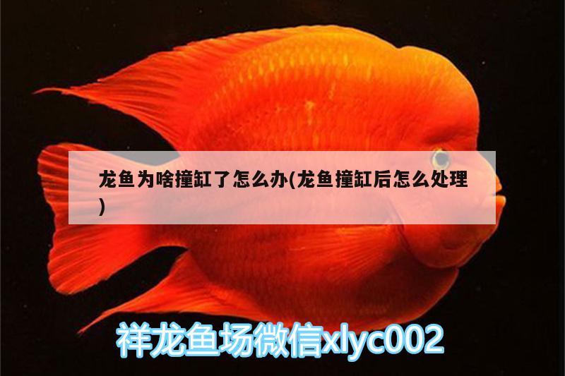 1.5米森森魚缸下過濾器配件全套（森森15米下濾魚缸大概多少錢） 養(yǎng)魚知識 第1張