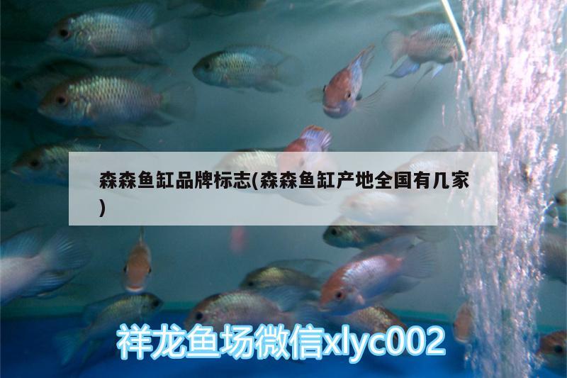 魚缸背景貼紙哪里有賣呀（魚缸背景貼紙是什么材質(zhì)） 黃金達(dá)摩魚 第2張