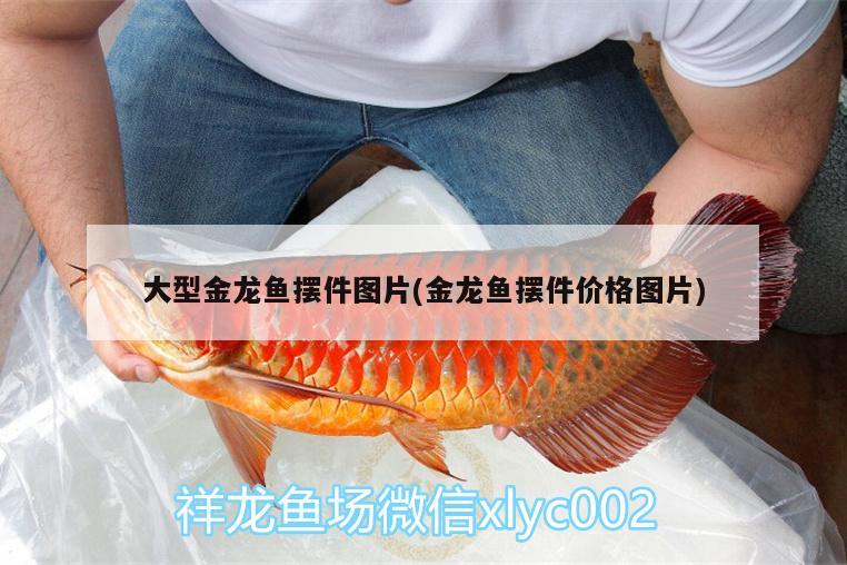 大型金龍魚(yú)擺件圖片(金龍魚(yú)擺件價(jià)格圖片) 魚(yú)缸等水族設(shè)備