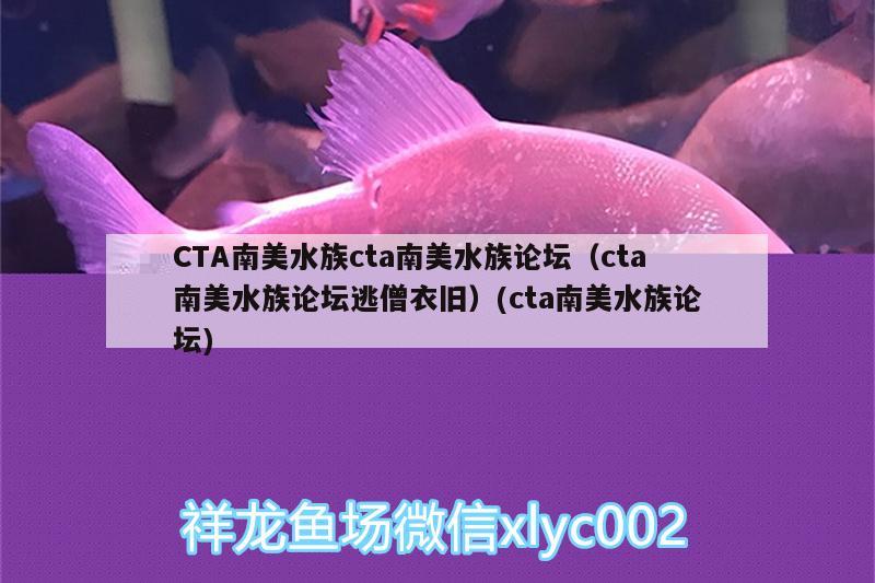 CTA南美水族cta南美水族論壇（cta南美水族論壇逃僧衣舊）(cta南美水族論壇)