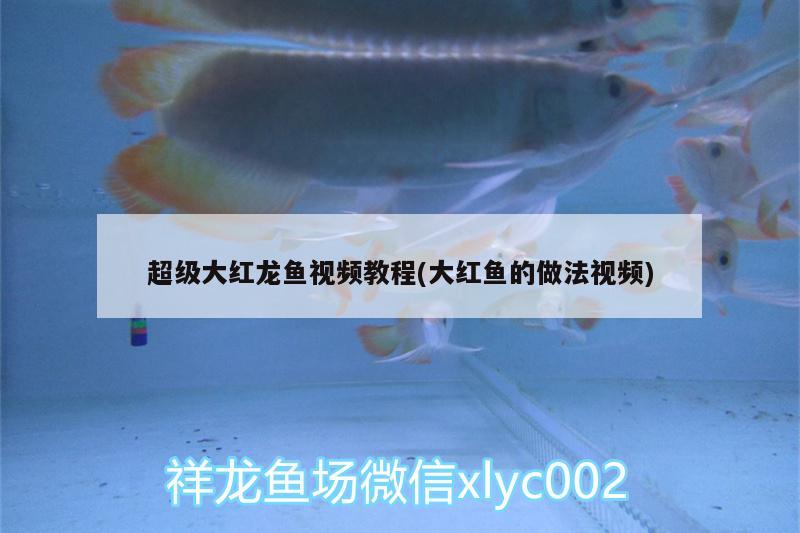 奎文區(qū)大虞名海水族館（奎文區(qū)大虞名海水族館電話） 全國水族館企業(yè)名錄 第2張