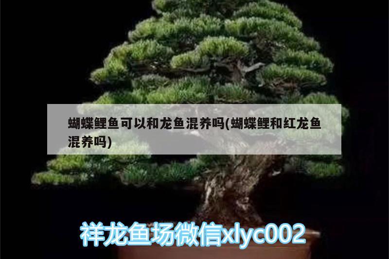 伊罕過濾桶機頭拆解圖片大全：伊罕過濾桶怎么進水 伊罕水族 第1張