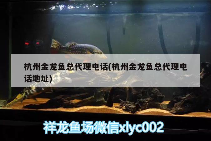 杭州金龍魚總代理電話(杭州金龍魚總代理電話地址)