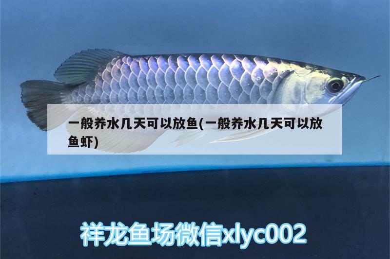 一般養(yǎng)水幾天可以放魚(一般養(yǎng)水幾天可以放魚蝦) 魚缸等水族設(shè)備