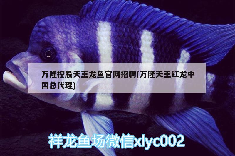 安陽有名的賣魚缸的地方有哪些店 觀賞魚 第1張