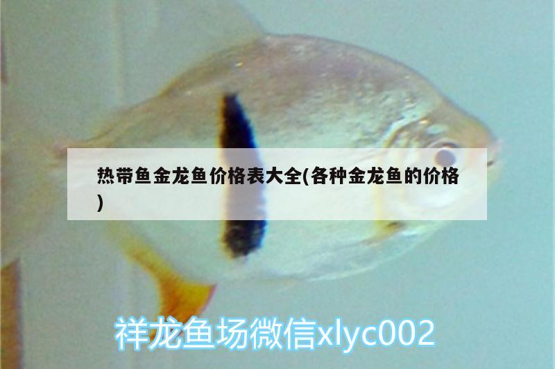 熱帶魚金龍魚價格表大全(各種金龍魚的價格)