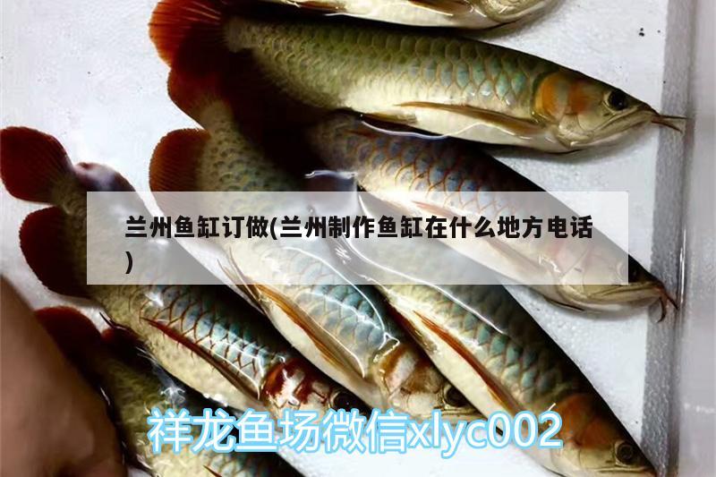 蘭州魚缸訂做(蘭州制作魚缸在什么地方電話)