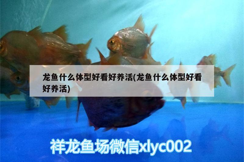 溫州市甌海茶山彥錦盆栽店 全國水族館企業(yè)名錄 第2張