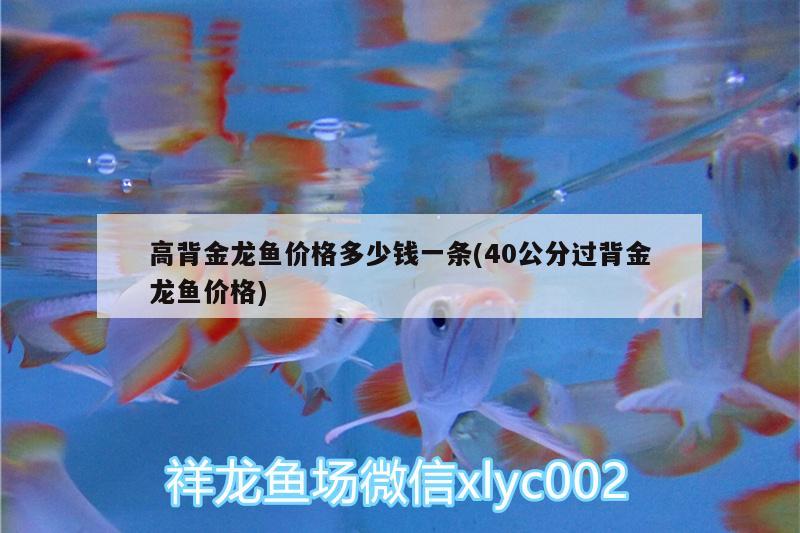 定州二手魚(yú)缸轉(zhuǎn)讓電話地址及電話 定州二手魚(yú)缸轉(zhuǎn)讓電話地址及電話號(hào)碼