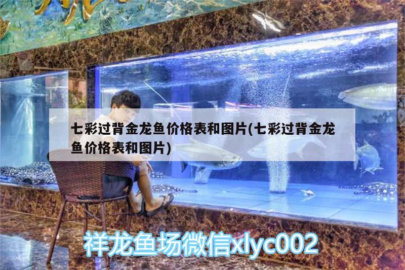 盤錦水族館側(cè)濾缸1008040長高寬鸚鵡應(yīng)該養(yǎng)幾條？能和其它魚混養(yǎng) 鸚鵡魚 第3張