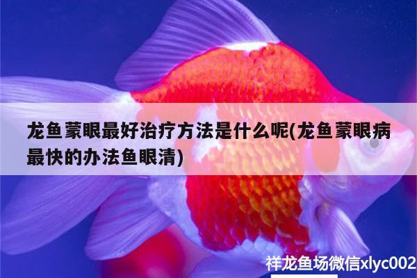 龍魚蒙眼最好治療方法是什么呢(龍魚蒙眼病最快的辦法魚眼清) 羽毛刀魚苗