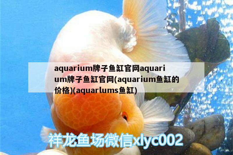 aquarium牌子魚缸官網(wǎng)aquarium牌子魚缸官網(wǎng)(aquarium魚缸的價格)(aquarlums魚缸) BD魟魚