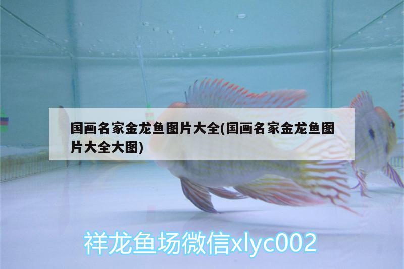 國畫名家金龍魚圖片大全(國畫名家金龍魚圖片大全大圖) 水草