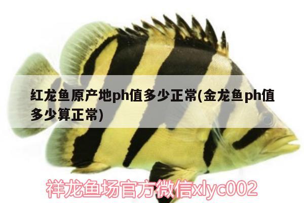 魚缸管件配件哪里買的（ 魚缸管件配件 哪里買）