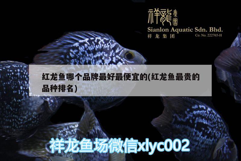 巴音郭楞蒙古自治州水族批發(fā)市場(chǎng):什么地方收購(gòu)釣魚(yú)用的魚(yú)蟲(chóng) 垂釣樂(lè)園 第3張