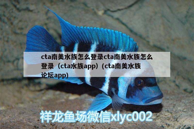 南海大約有多少種海水觀賞魚品種名稱：南海有哪些魚種