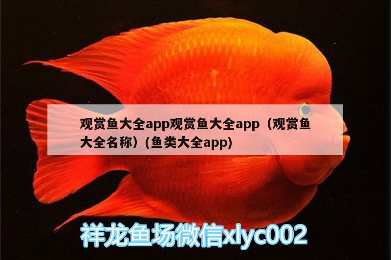 魚缸水草燈管（水草缸用燈管好還是led燈好） 其他品牌魚缸 第1張