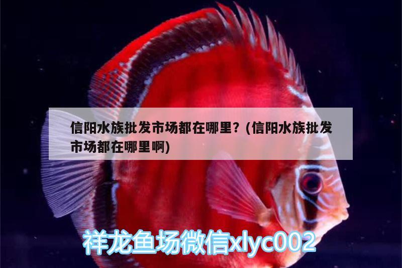 烏魯木齊哪里有賣魚缸架的店鋪：烏魯木齊哪里有賣魚缸架的店鋪啊