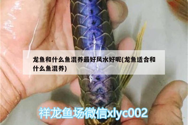 太原玻璃魚缸的價格誰能告知，請問下什么牌子的超白魚缸好