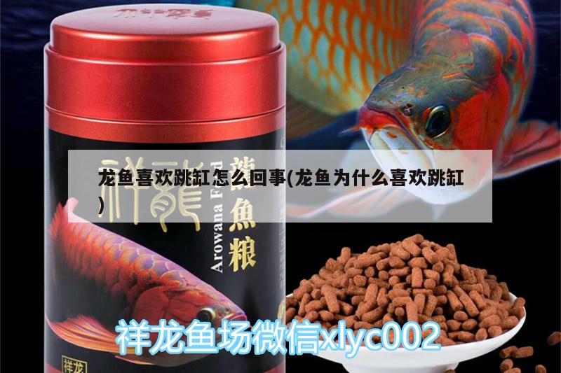 魚缸廠家排名前十的品牌是（十大魚缸的品牌有哪些） 祥龍超血紅龍魚 第1張