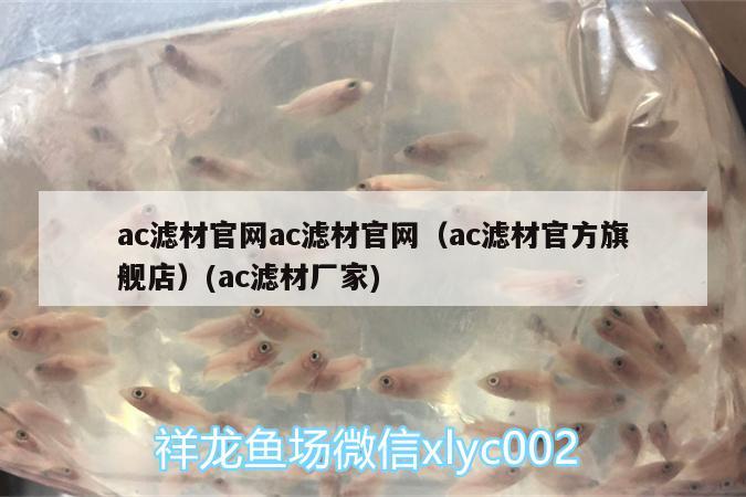 紅龍魚鱗片掉了多久能長出來?。t龍的魚鱗片掉了能長出來嗎）