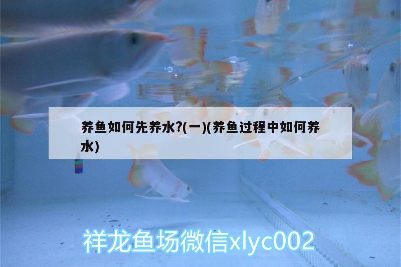 金龍魚(yú)側(cè)燈位置擺放（金龍魚(yú)頂燈怎么擺放） 水族燈（魚(yú)缸燈） 第2張