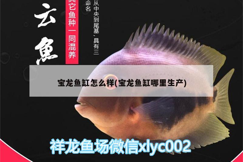 寶龍魚缸怎么樣(寶龍魚缸哪里生產(chǎn))