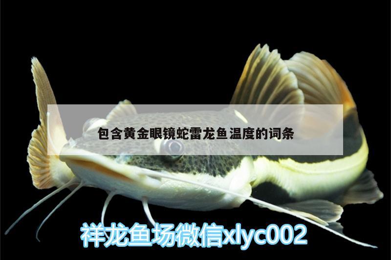 包含黃金眼鏡蛇雷龍魚溫度的詞條