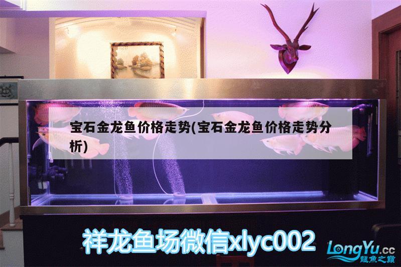 寶石金龍魚價格走勢(寶石金龍魚價格走勢分析) 潛水泵