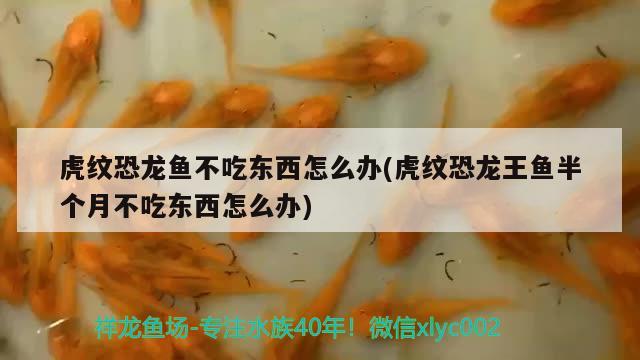 giea魚缸官網(wǎng)(fire魚缸官網(wǎng)) 觀賞魚 第1張