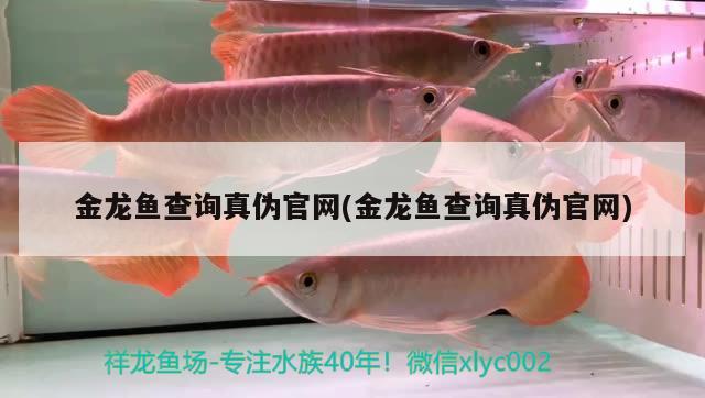 金龍魚查詢真?zhèn)喂倬W(wǎng)(金龍魚查詢真?zhèn)喂倬W(wǎng))