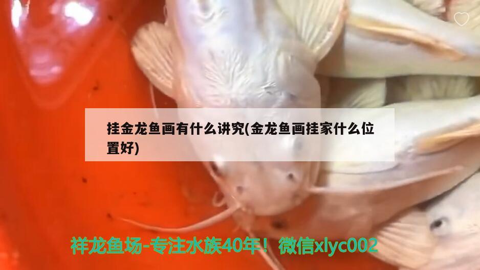 掛金龍魚畫有什么講究(金龍魚畫掛家什么位置好) 祥龍水族護(hù)理水