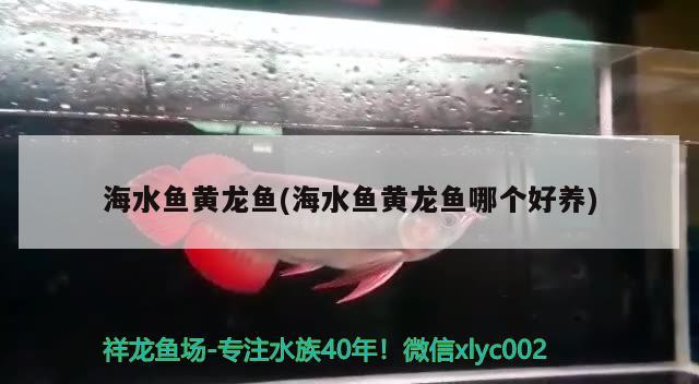 本溪水族批發(fā)市場:本溪大河市場的具***置是什么 觀賞魚水族批發(fā)市場 第2張