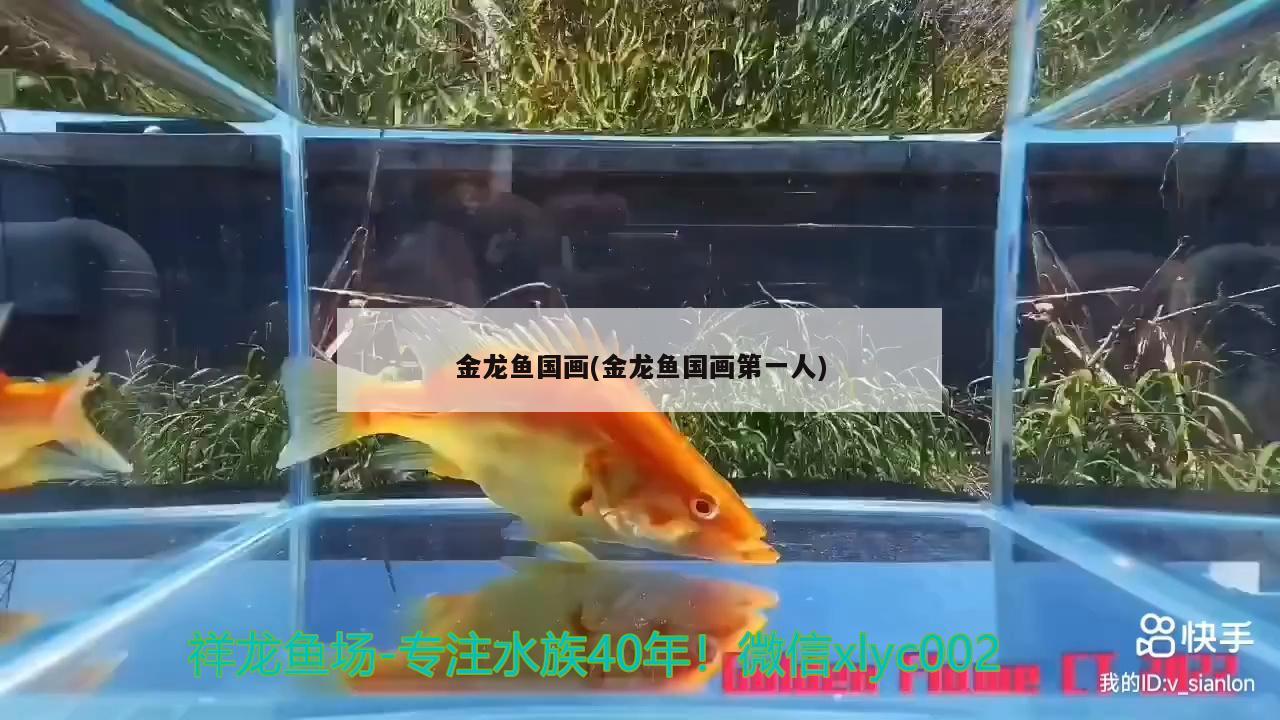 金龍魚國畫(金龍魚國畫第一人)