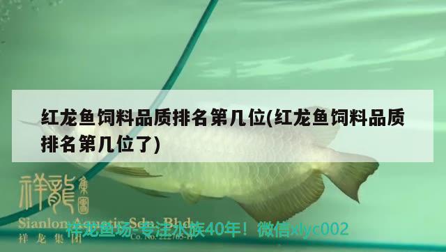 紅龍魚飼料品質(zhì)排名第幾位(紅龍魚飼料品質(zhì)排名第幾位了)