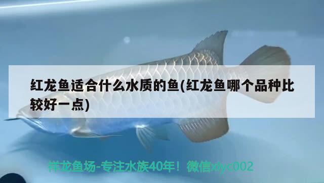 安徽魚缸廠家排名排名前十，安徽魚缸廠家排名前十