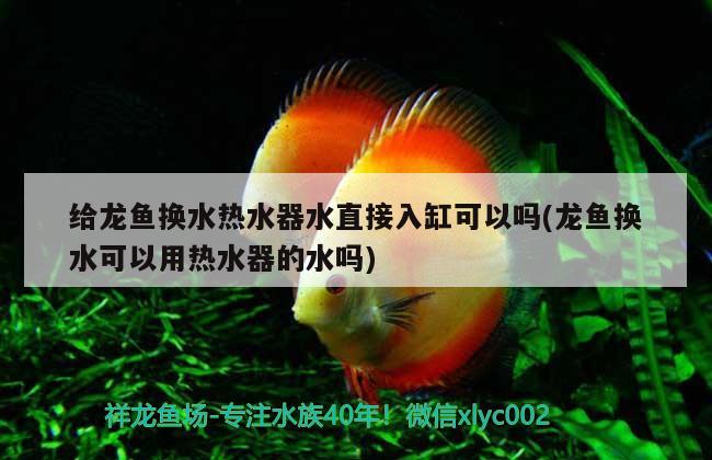 給龍魚換水熱水器水直接入缸可以嗎(龍魚換水可以用熱水器的水嗎)