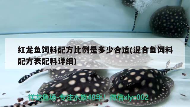 紅龍魚飼料配方比例是多少合適(混合魚飼料配方表配料詳細(xì))