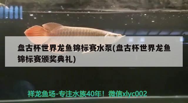 盤古杯世界龍魚錦標(biāo)賽水泵(盤古杯世界龍魚錦標(biāo)賽頒獎(jiǎng)典禮)