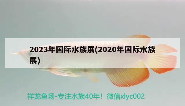 2023年國(guó)際水族展(2020年國(guó)際水族展)