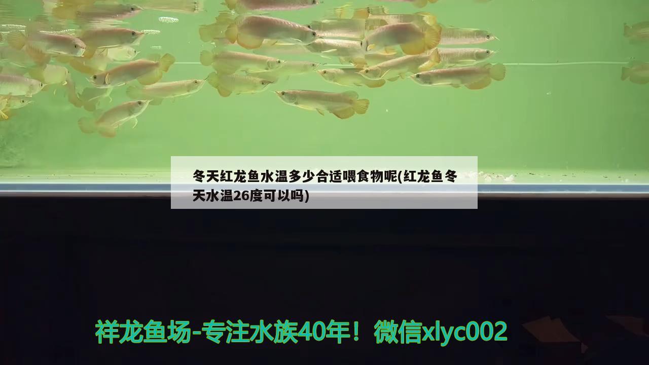 一米八的魚缸適合的過濾器尺寸，一米八的魚缸用多大過濾器選擇過濾器的工作原理