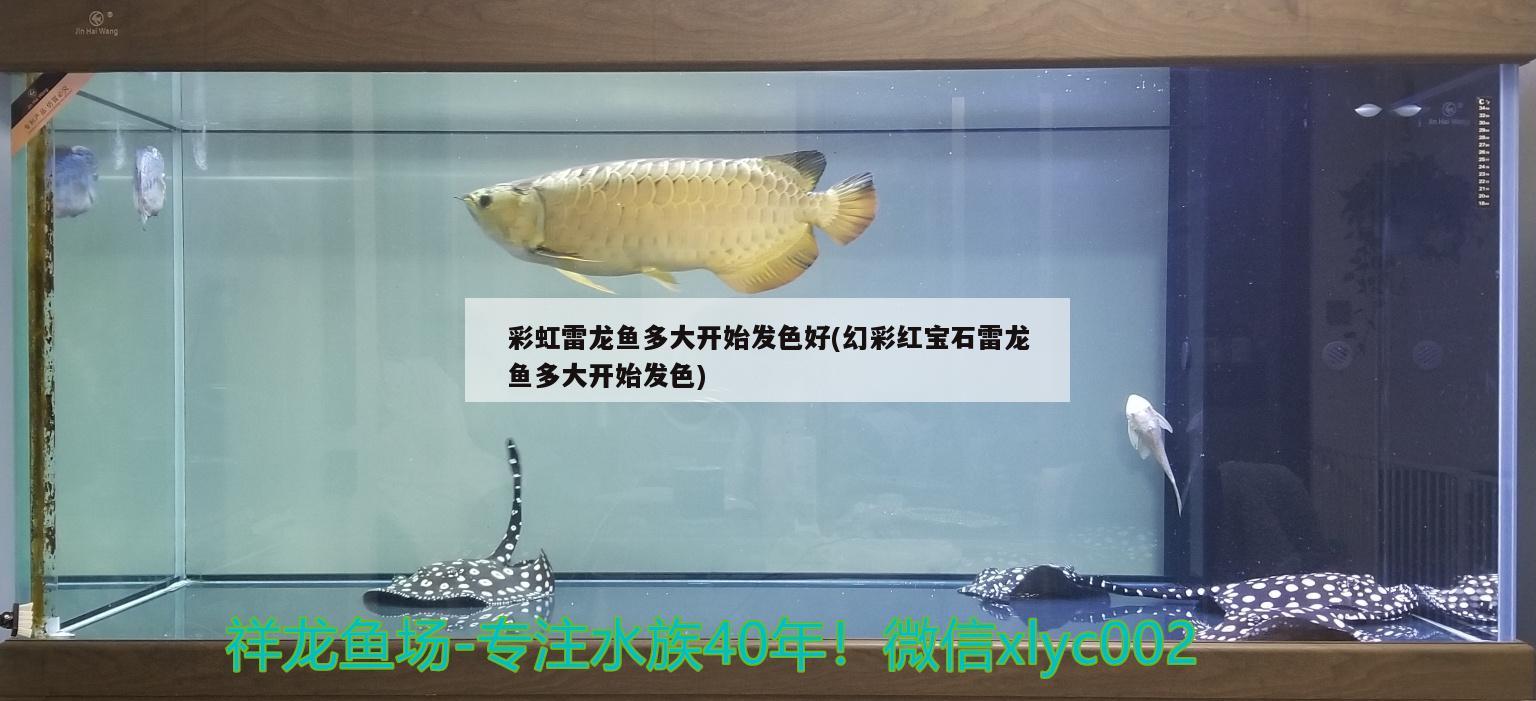 牡丹江二手魚(yú)缸交易市場(chǎng)在哪兒（ 牡丹江閑魚(yú)網(wǎng)站二手市場(chǎng)） 定時(shí)器/自控系統(tǒng)